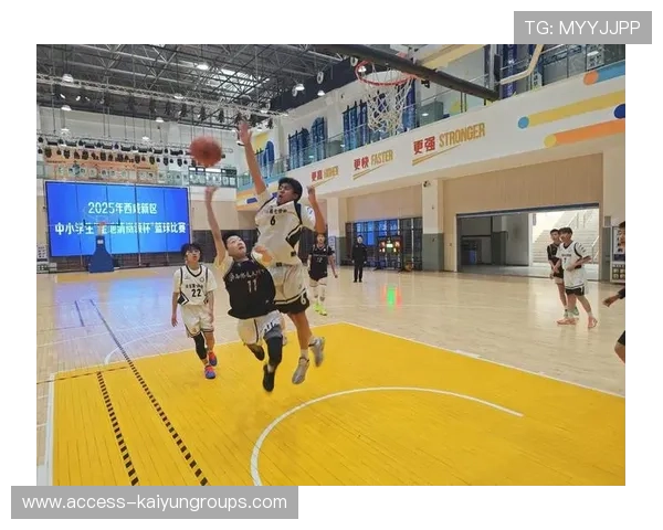 中国篮球青少年球员学术与篮球双重规划成功案例分享,青少年篮球教育行业分析 中国篮球青少年球员学术与篮球双重规划成功案例分享,青少年篮球教育行业分析