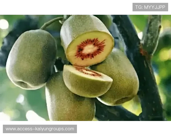 突尼斯希望中卫多次关键解围，尿酸700关节不疼还需要吃药吗