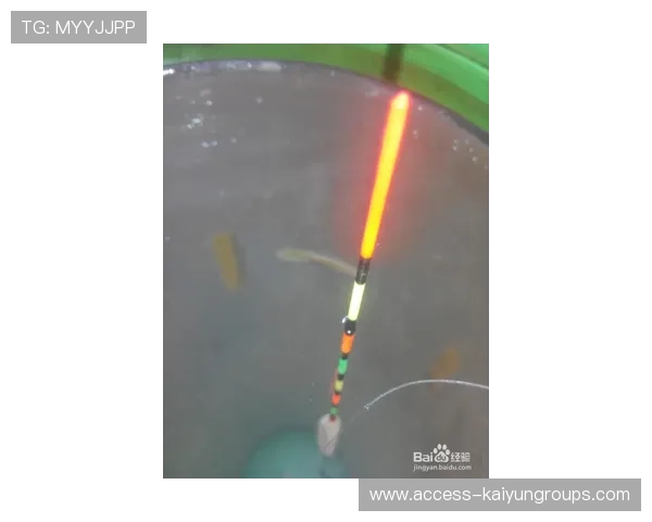 临场调整立竿见影（407 ）