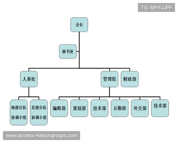 职业俱乐部的决策架构 职业俱乐部的决策架构