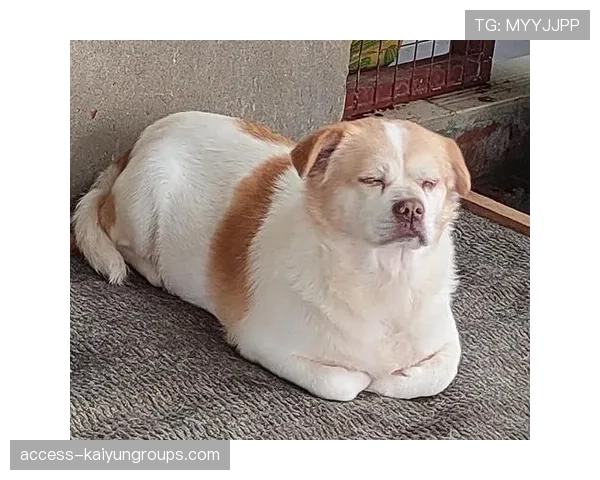 [选手名]直播教压枪：只要记住这三个字母，你也能稳如老狗😂